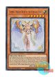 英語版 PHNI-EN020 Saffira, Dragon Queen of the Voiceless Voice 粛声の竜賢姫サフィラ (ウルトラレア) 1st Edition