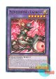 英語版 INFO-EN035 Fiendsmith's Lacrima 刻まれし魔ラクリモーサ (ノーマル) 1st Edition