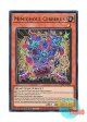 英語版 INFO-EN092 Mimighoul Cerberus 日本未発売 (スーパーレア) 1st Edition