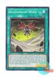 英語版 ROTA-EN052 Battlewasp Wind B・F・W (ノーマル) 1st Edition