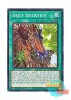 英語版 ROTA-EN083 Insect Invitation 日本未発売 (ノーマル) 1st Edition