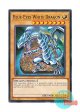 英語版 SDWD-EN002 Blue-Eyes White Dragon 青眼の白龍 (ノーマル) 1st Edition