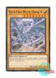 英語版 SDWD-EN003 Blue-Eyes White Dragon 青眼の白龍 (ノーマル) 1st Edition