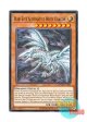 英語版 SDWD-EN005 Blue-Eyes Alternative White Dragon 青眼の亜白龍 (ノーマル) 1st Edition