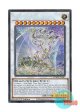 英語版 SDWD-EN043 Blue-Eyes Ultimate Spirit Dragon 青眼の究極霊竜 (シークレットレア) 1st Edition