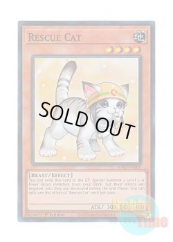 画像1: 英語版 RA02-EN001 Rescue Cat【Alternate Art】 レスキューキャット【イラスト違い】 (スーパーレア) 1st Edition