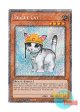 英語版 RA02-EN001 Rescue Cat レスキューキャット (プラチナシークレットレア) 1st Edition