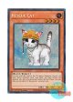 英語版 RA02-EN001 Rescue Cat レスキューキャット (シークレットレア) 1st Edition