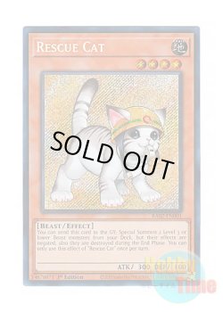 画像1: 英語版 RA02-EN001 Rescue Cat【Alternate Art】 レスキューキャット【イラスト違い】 (シークレットレア) 1st Edition