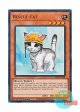 英語版 RA02-EN001 Rescue Cat レスキューキャット (ウルトラレア) 1st Edition