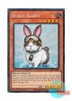 英語版 RA02-EN008 Rescue Rabbit レスキューラビット (プリズマティックコレクターズレア) 1st Edition