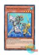 英語版 RA03-EN006 Atlantean Dragoons 海皇の竜騎隊 (スーパーレア) 1st Edition