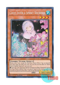 画像1: 英語版 RA03-EN020 Ghost Sister & Spooky Dogwood【Alternate Art】 儚無みずき【イラスト違い】 (シークレットレア) 1st Edition