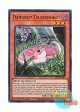 英語版 RA04-EN027 Danger!? Tsuchinoko? 未界域のツチノコ (スーパーレア) 1st Edition