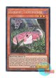 英語版 RA04-EN027 Danger!? Tsuchinoko? 未界域のツチノコ (プリズマティックコレクターズレア) 1st Edition