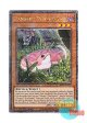 英語版 RA04-EN027 Danger!? Tsuchinoko? 未界域のツチノコ (クォーターセンチュリーシークレットレア) 1st Edition