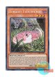 英語版 RA04-EN027 Danger!? Tsuchinoko? 未界域のツチノコ (シークレットレア) 1st Edition