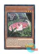 英語版 RA04-EN027 Danger!? Tsuchinoko? 未界域のツチノコ (プリズマティックアルティメットレア) 1st Edition