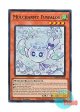 英語版 RA04-EN050 Mulcharmy Fuwalos マルチャミー・フワロス (スーパーレア) 1st Edition