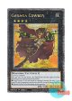 英語版 RA04-EN064 Gagaga Cowboy ガガガガンマン (クォーターセンチュリーシークレットレア) 1st Edition