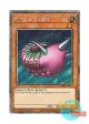 英語版 RA04-EN112 Needle Worm ニードルワーム (プラチナシークレットレア) 1st Edition