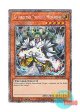 英語版 RA04-EN125 Zaborg the Thunder Monarch 雷帝ザボルグ (プラチナシークレットレア) 1st Edition