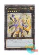 英語版 RA04-EN164 Constellar Pleiades セイクリッド・プレアデス (クォーターセンチュリーシークレットレア) 1st Edition