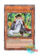 英語版 RA04-EN223 Mathematician マスマティシャン (クォーターセンチュリーシークレットレア) 1st Edition