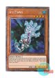 英語版 RA04-EN225 Ice Hand アイス・ハンド (プラチナシークレットレア) 1st Edition
