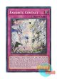 英語版 MP24-EN063 Favorite Contact フェイバリット・コンタクト (プリズマティックシークレットレア) 1st Edition