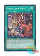 英語版 MP24-EN142 Stake your Soul! Stake Your Soul！ (プリズマティックシークレットレア) 1st Edition