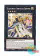 英語版 MP24-EN344 Tellarknight Constellar Caduceus 星騎士 セイクリッド・カドケウス (ノーマル) 1st Edition