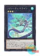 日本語版 ROTA-JP042 海外未発売 リヴァーチュ・ドラゴン (スーパーレア)