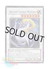 画像: 英語版 ANPR-EN043 Ancient Sacred Wyvern エンシェント・ホーリー・ワイバーン (ウルトラレア) Unlimited