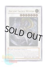 画像: 英語版 ANPR-EN043 Ancient Sacred Wyvern エンシェント・ホーリー・ワイバーン (レリーフレア) Unlimited