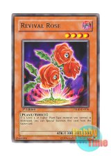 画像: 英語版 TSHD-EN016 Revival Rose 返り咲く薔薇の大輪 (レア) 1st Edition