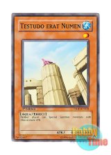 画像: 英語版 TSHD-EN032 Testudo erat Numen かつて神と呼ばれた亀 (ノーマル) 1st Edition