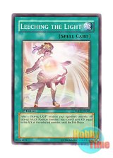 画像: 英語版 TSHD-EN061 Leeching the Light シャイニング・アブソーブ (ノーマル) 1st Edition