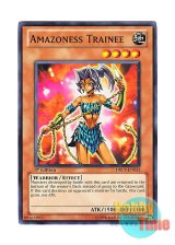 画像: 英語版 DREV-EN031 Amazoness Trainee アマゾネス訓練生 (ノーマル) 1st Edition