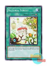 画像: 英語版 DREV-EN051 Naturia Forest ナチュルの森 (ノーマル) 1st Edition