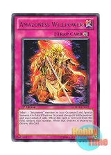 画像: 英語版 DREV-EN072 Amazoness Willpower アマゾネスの意地 (レア) 1st Edition