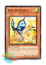 画像: 英語版 STBL-EN003 Reed Butterfly リード・バタフライ (ノーマル) 1st Edition