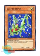 画像: 英語版 STBL-EN027 Watthopper エレキリギリス (ノーマル) 1st Edition