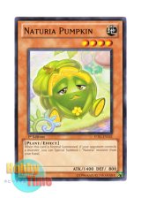 画像: 英語版 STBL-EN031 Naturia Pumpkin ナチュル・パンプキン (ノーマル) 1st Edition