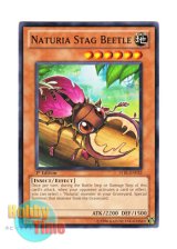 画像: 英語版 STBL-EN032 Naturia Stag Beetle ナチュル・スタッグ (ノーマル) 1st Edition