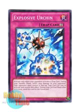 画像: 英語版 GENF-EN065 Explosive Urchin 爆弾ウニ－ボム・アーチン－ (ノーマル) 1st Edition