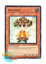 画像: 英語版 PHSW-EN007 Pinecono マツボックル (ノーマル) 1st Edition