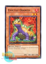 画像: 英語版 PHSW-EN018 Evoltile Odonto エヴォルド・オドケリス (ノーマル) 1st Edition