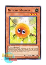 画像: 英語版 PHSW-EN029 Naturia Marron ナチュル・マロン (ノーマル) 1st Edition