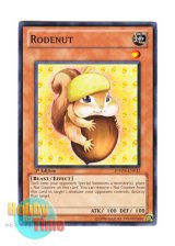 画像: 英語版 PHSW-EN032 Rodenut ドングリス (ノーマル) 1st Edition